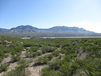 Caballo Lake (Wasser des Rio Grande)