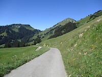 zum Mittelbergpass (Jaun - Saanenmöser)