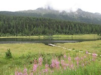Stazersee