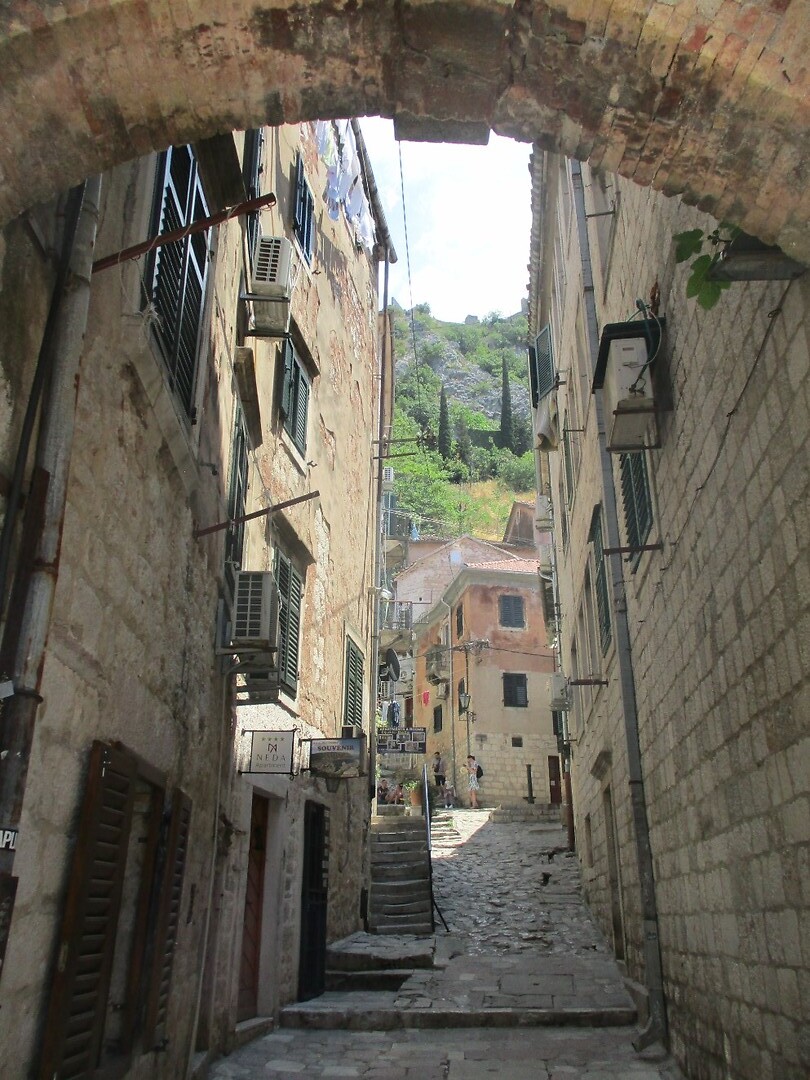 Kotor