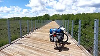 und wieder eine Brücke