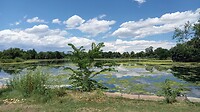 Washington Park in Denver