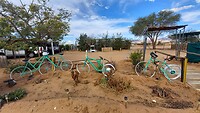 Camping Chamieitos