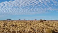 Wolkenbild