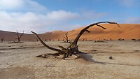 2 Stunden Deadvlei