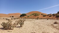 Big Mummy Dune