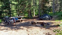 Camping Lone Fir