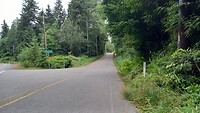 noch etwas durch die Wald-Wohnquartiere