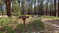 Ponderosa Group CG