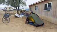 Camp bei den Hunden