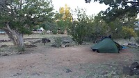 Camping Ash Fork