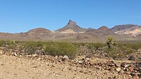 Mount Nutt