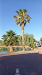 Camping Newberry