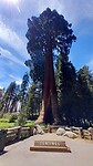 Giant Forest Museum