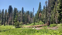 Crescent Meadow