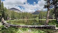 Dana Meadow