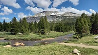 Dana Meadow