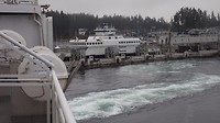 IMG_1801