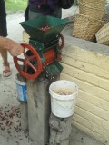 119 Bean cleaner