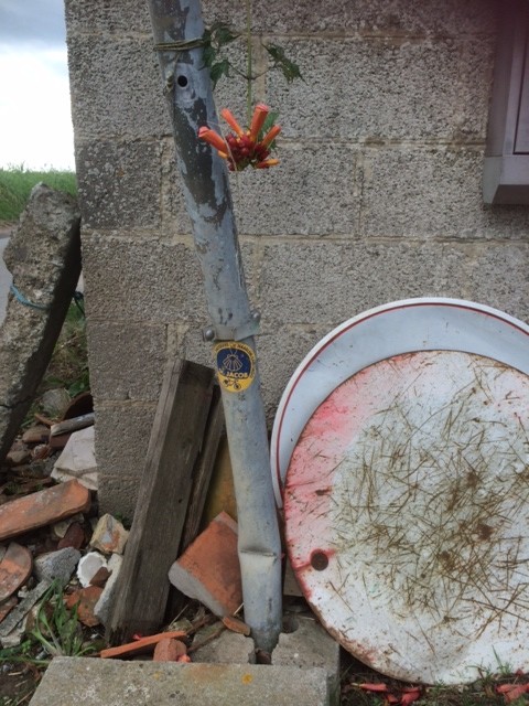foto 1-4