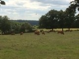 foto 2-21