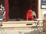 foto 1-26