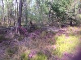 foto 4-22