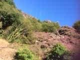 foto 4-28