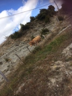 foto 4-29