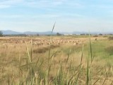 foto 4-45