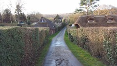 20160302_085446