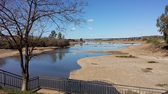 20160311_Merida park (2)