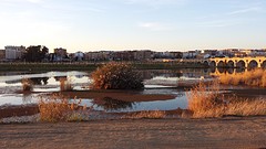 20160313_191700