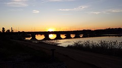 20160313_Badajoz slaapplaats vogels