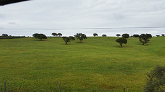 20160318_steppen-(2)web