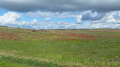 20160320_104212-web