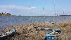 20160323_lagune-st-andre-114156-web
