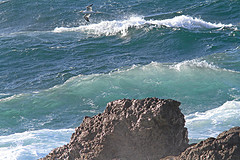 IMGL5007kliffen-sines-web