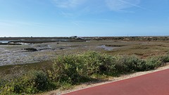 20160328_101628