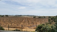 20160328_145845