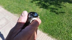 20160329_122404
