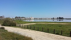 20160329_142121