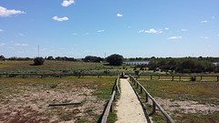 20160331_162805
