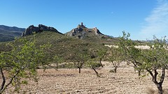 20160412_103326