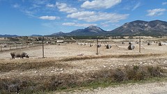 20160412_112227