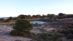 20160413_195221