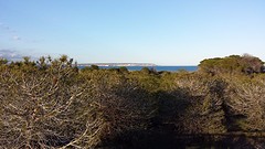 20160413_194344