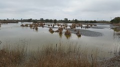 20160415_172516