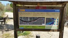 20160416_133303