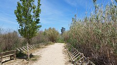 20160416_133325